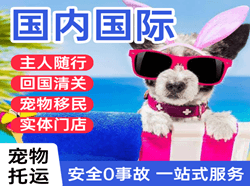温州航空邮寄国际宠物托运 【国